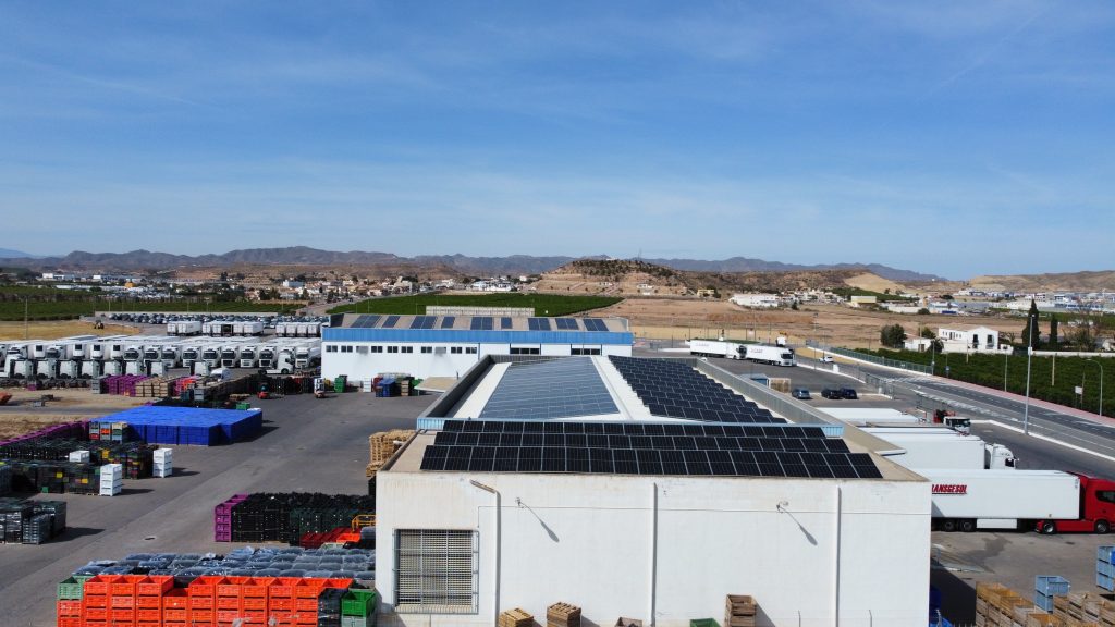 Paneles solares instalados en una empresa hortofrutícola