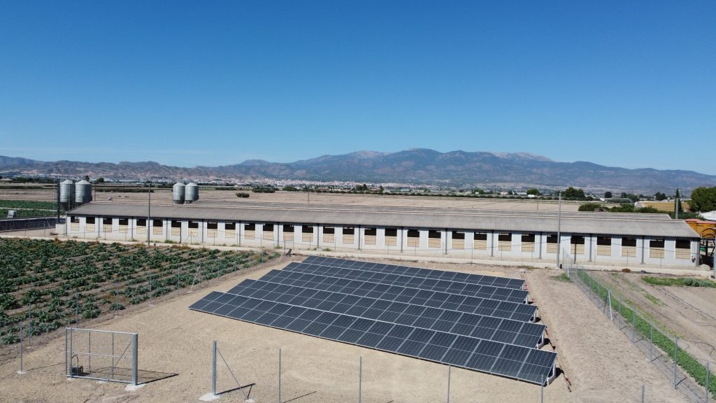Paneles solares instalados para alimentar sistema de riego agrícola en Totana.