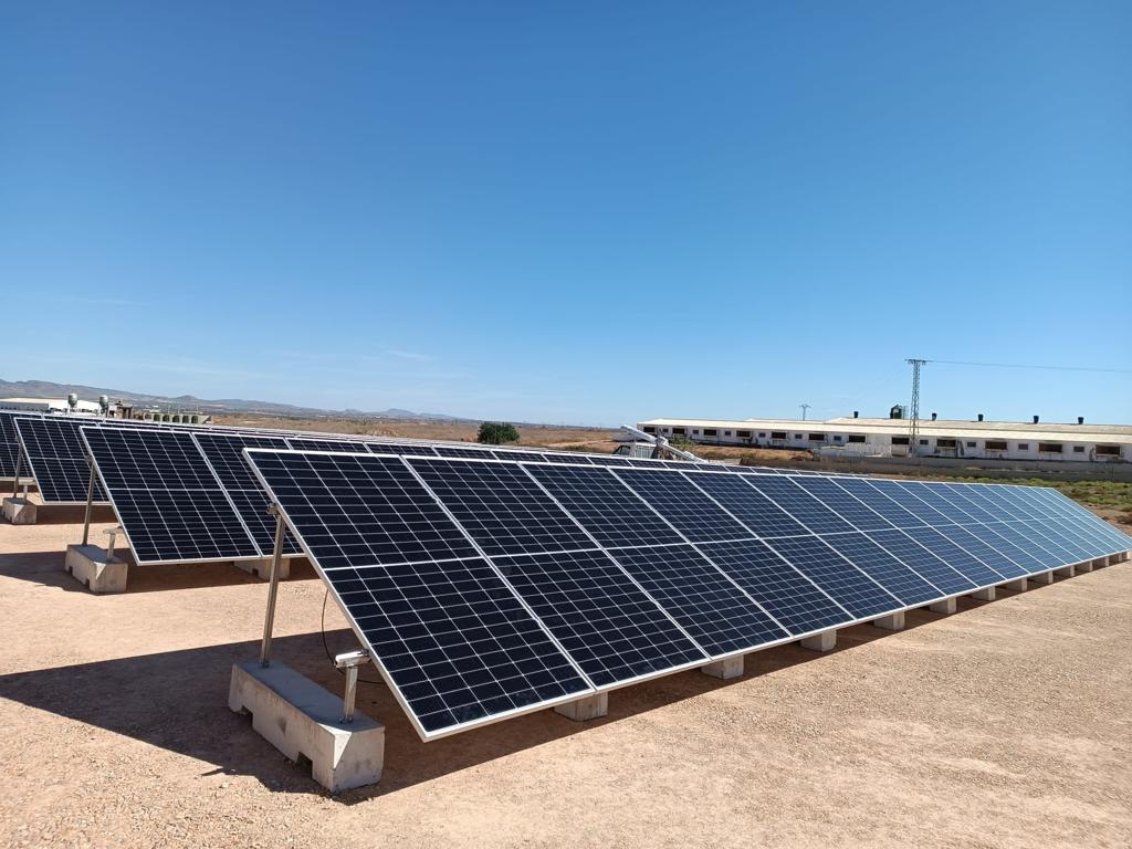 Paneles solares instalados en tejado de granja porcina en Fuente Álamo, Murcia