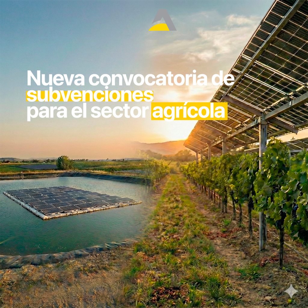 Composición dividida que muestra agrivoltaica en viñedos a la izquierda y paneles solares flotantes en balsa de riego a la derecha, ilustrando las ayudas del IDAE para energías renovables en agricultura.
