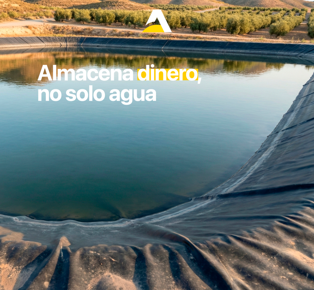 Balsa de riego llena en un olivar funcionando como sistema de acumulación hidráulica. La imagen ilustra la comparativa de rentabilidad entre el almacenamiento de agua y el uso de baterías eléctricas para arbitraje y gestión inteligente en bombeo solar.