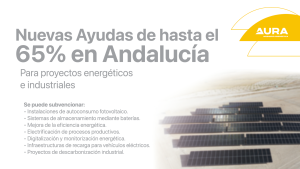 Actuaciones subvencionables para las nuevas ayudas de Andalucía